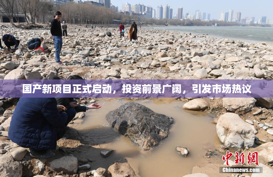 国产新项目正式启动，投资前景广阔，引发市场热议