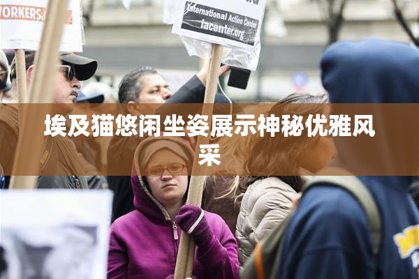 埃及猫悠闲坐姿展示神秘优雅风采