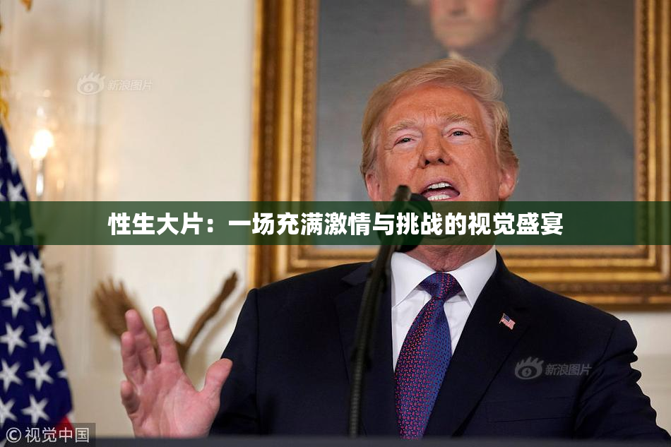 性生大片：一场充满激情与挑战的视觉盛宴