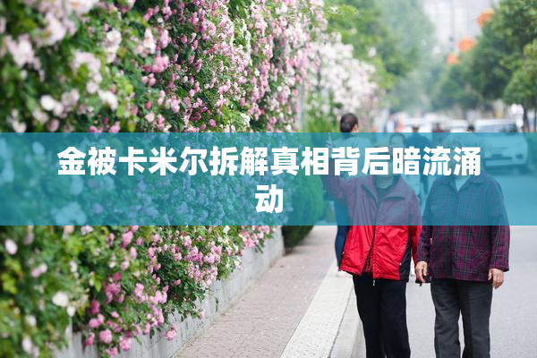 金被卡米尔拆解真相背后暗流涌动