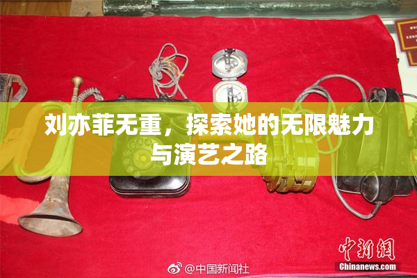 刘亦菲无重，探索她的无限魅力与演艺之路
