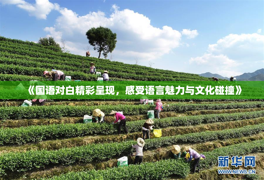 《国语对白精彩呈现，感受语言魅力与文化碰撞》