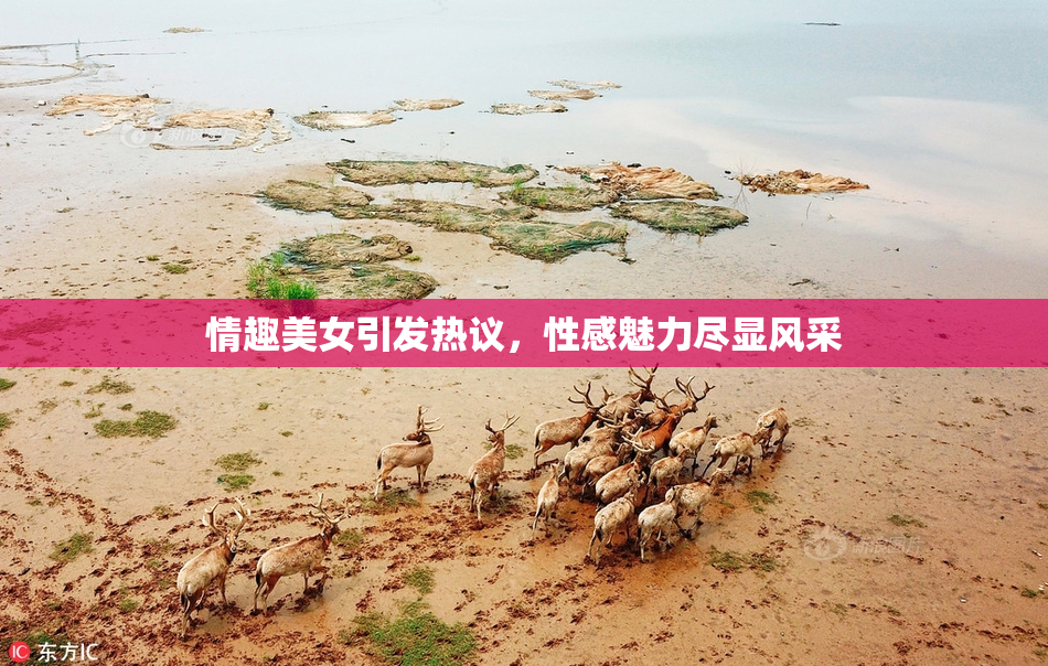 情趣美女引发热议，性感魅力尽显风采