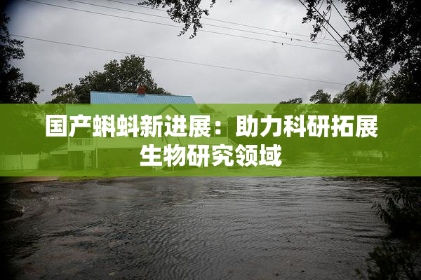 国产蝌蚪新进展：助力科研拓展生物研究领域