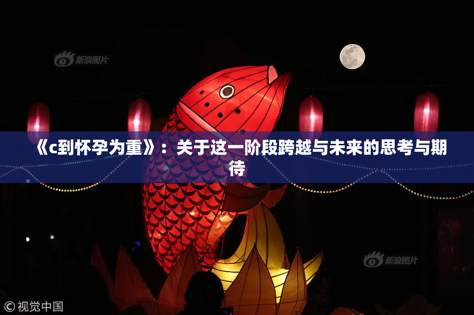 《c到怀孕为重》：关于这一阶段跨越与未来的思考与期待