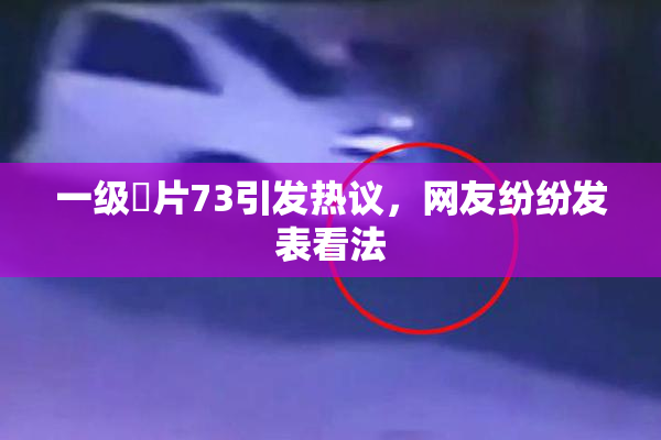 一级婬片73引发热议，网友纷纷发表看法