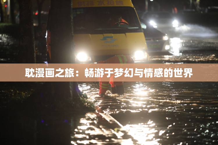 耽漫画之旅：畅游于梦幻与情感的世界