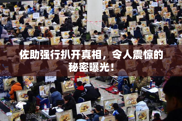 佐助强行扒开真相，令人震惊的秘密曝光！