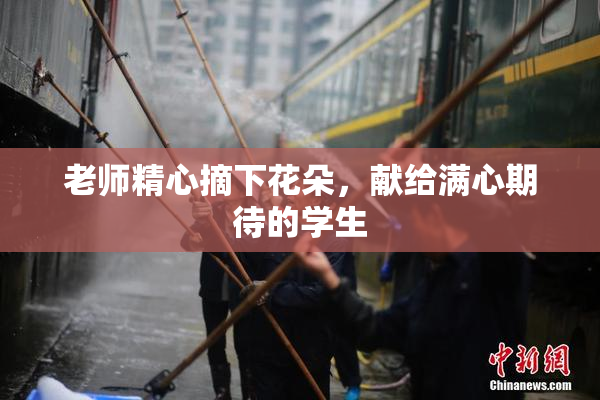 老师精心摘下花朵，献给满心期待的学生
