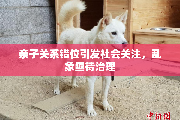 亲子关系错位引发社会关注，乱象亟待治理