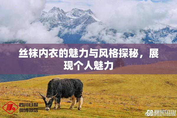 丝袜内衣的魅力与风格探秘，展现个人魅力