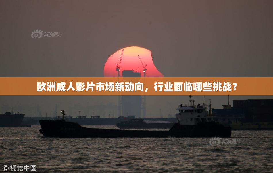 欧洲成人影片市场新动向，行业面临哪些挑战？