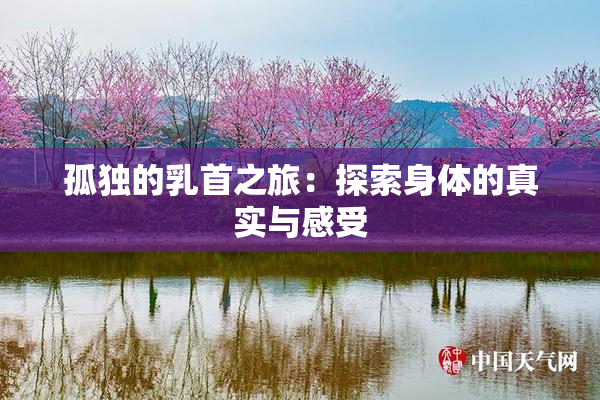 孤独的乳首之旅：探索身体的真实与感受