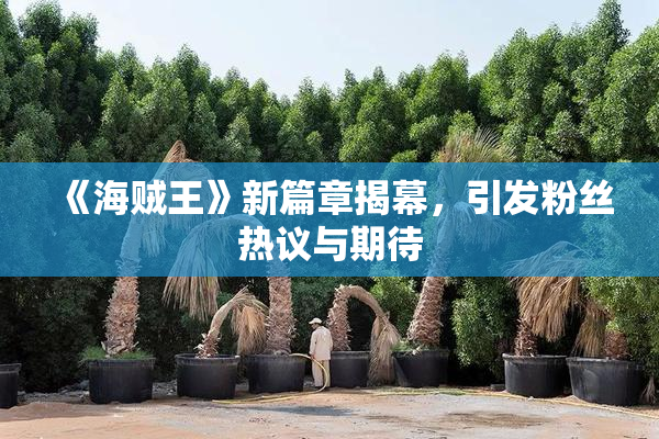 《海贼王》新篇章揭幕，引发粉丝热议与期待