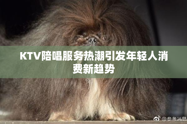 KTV陪唱服务热潮引发年轻人消费新趋势