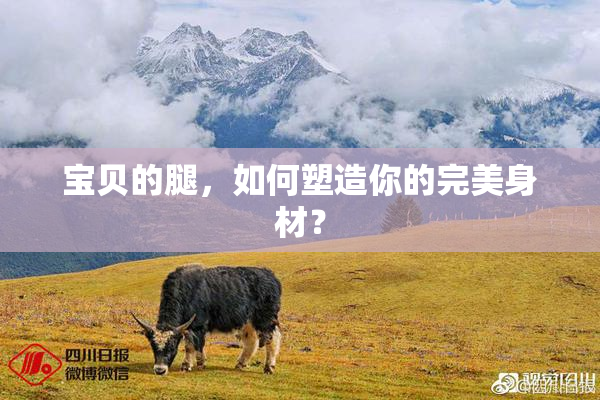 宝贝的腿，如何塑造你的完美身材？