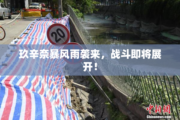 玖辛奈暴风雨袭来，战斗即将展开！