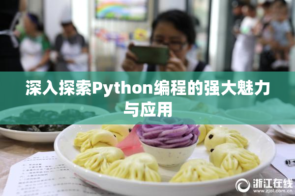 深入探索Python编程的强大魅力与应用