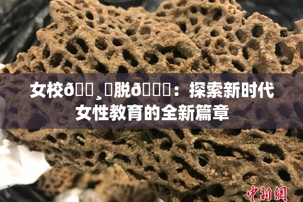 女校🌸‌脱👙：探索新时代女性教育的全新篇章