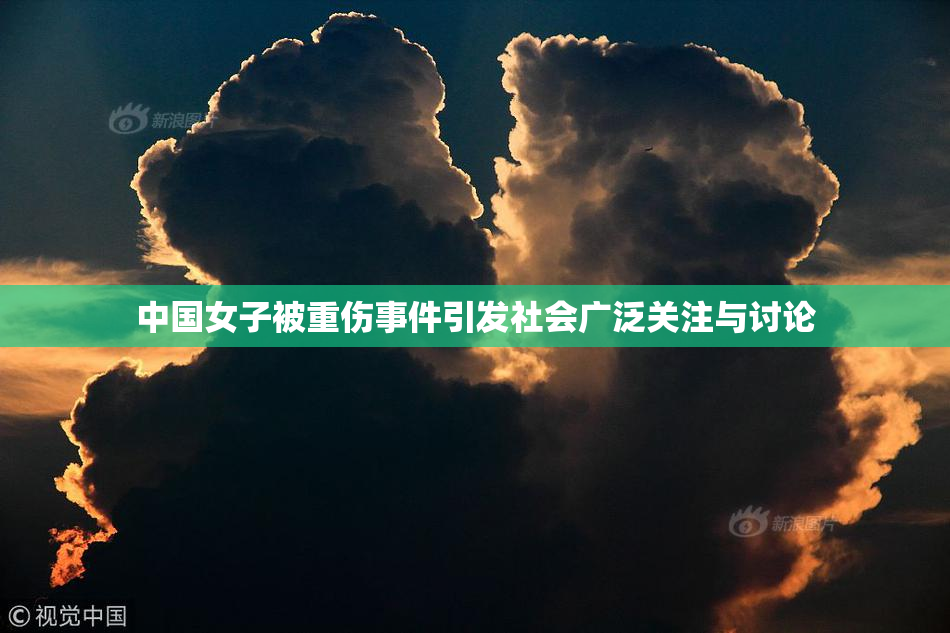 中国女子被重伤事件引发社会广泛关注与讨论