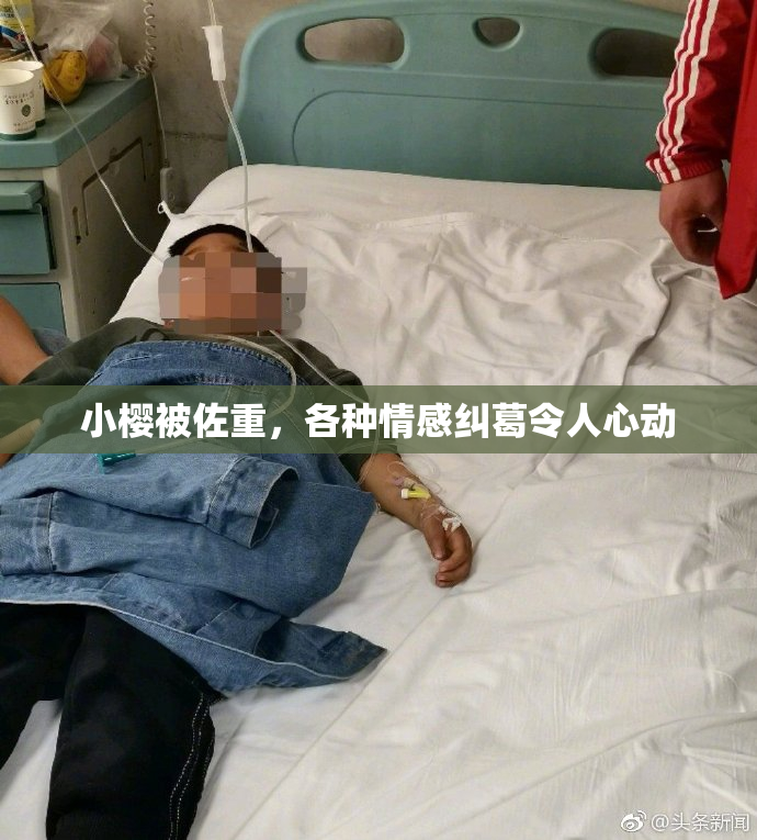 小樱被佐重，各种情感纠葛令人心动