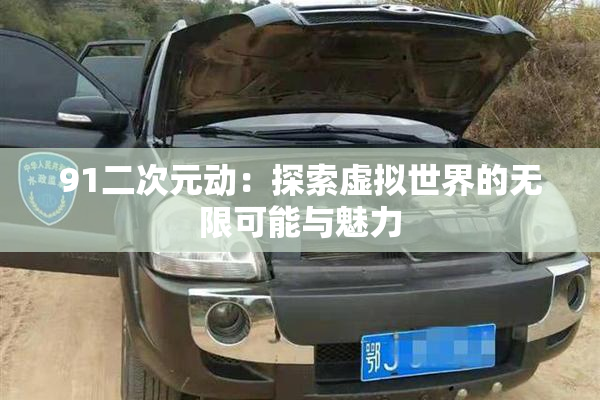 91二次元动：探索虚拟世界的无限可能与魅力