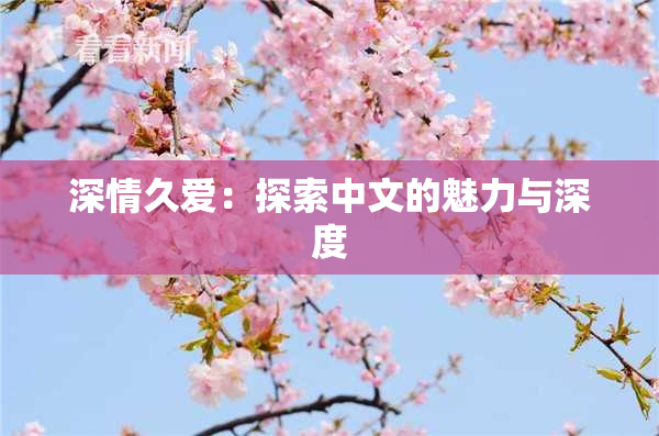 深情久爱：探索中文的魅力与深度