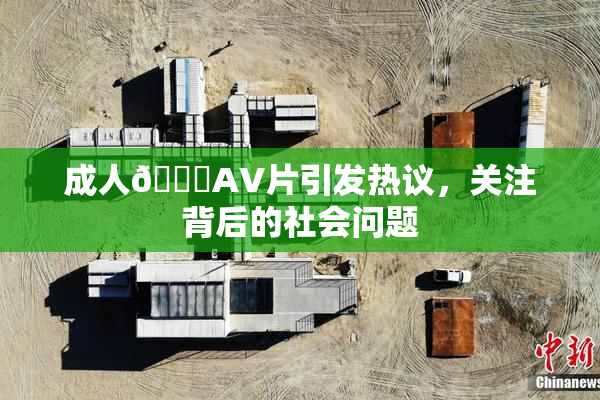 成人🔞AV片引发热议，关注背后的社会问题