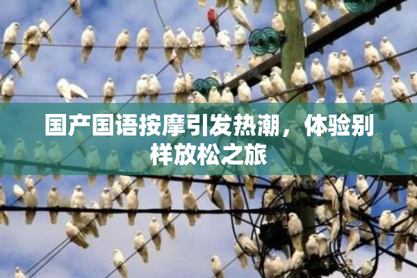 国产国语按摩引发热潮，体验别样放松之旅