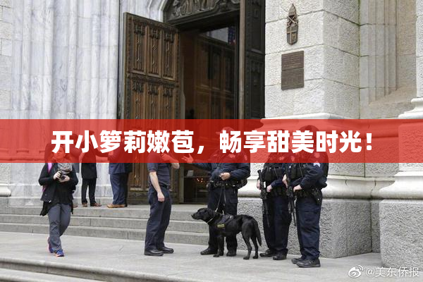 开小箩莉嫩苞，畅享甜美时光！