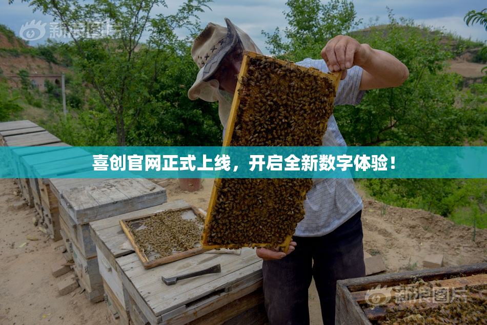 喜创官网正式上线，开启全新数字体验！