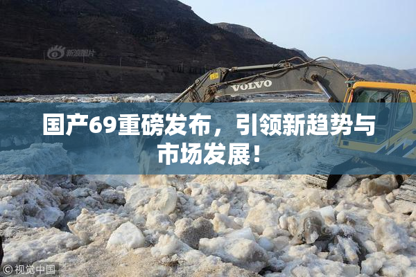 国产69重磅发布，引领新趋势与市场发展！