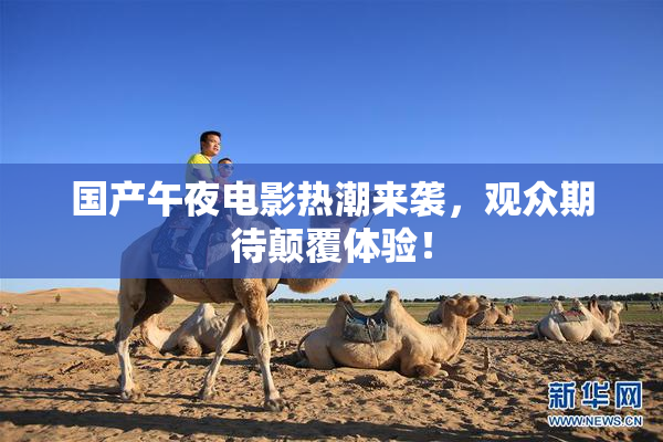 国产午夜电影热潮来袭，观众期待颠覆体验！