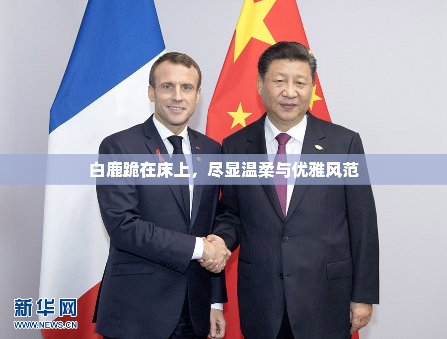 白鹿跪在床上，尽显温柔与优雅风范