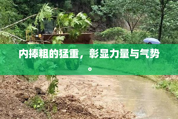 内捧粗的猛重，彰显力量与气势。