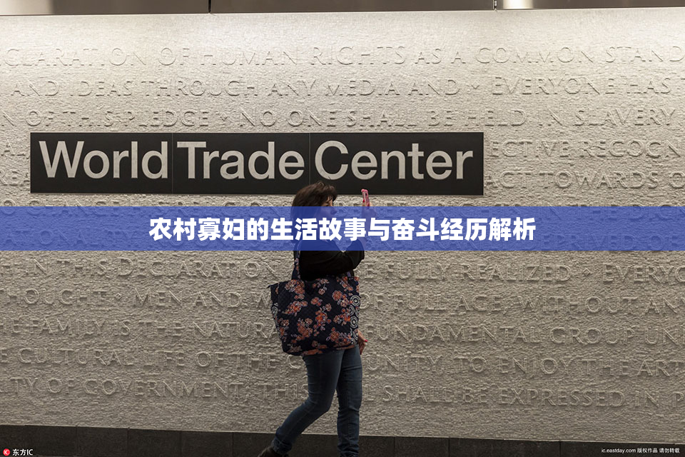 农村寡妇的生活故事与奋斗经历解析