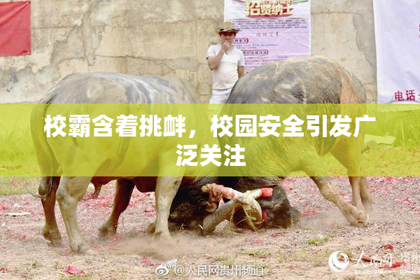 校霸含着挑衅，校园安全引发广泛关注