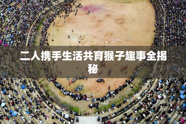 二人携手生活共育猴子趣事全揭秘