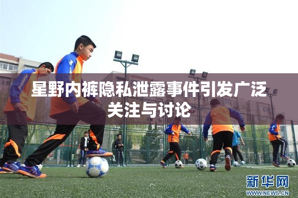 星野内裤隐私泄露事件引发广泛关注与讨论