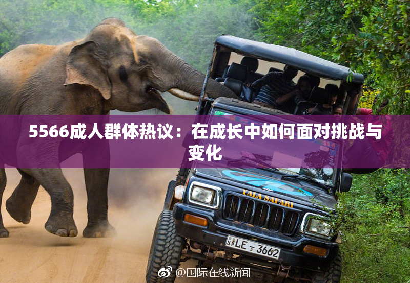5566成人群体热议：在成长中如何面对挑战与变化
