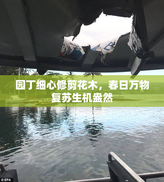 园丁细心修剪花木，春日万物复苏生机盎然