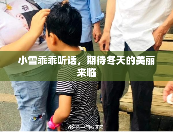 小雪乖乖听话，期待冬天的美丽来临