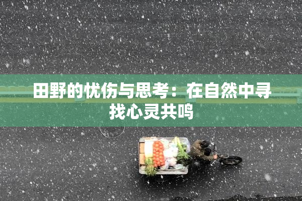 田野的忧伤与思考：在自然中寻找心灵共鸣