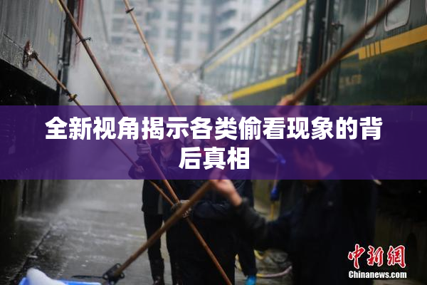 全新视角揭示各类偷看现象的背后真相
