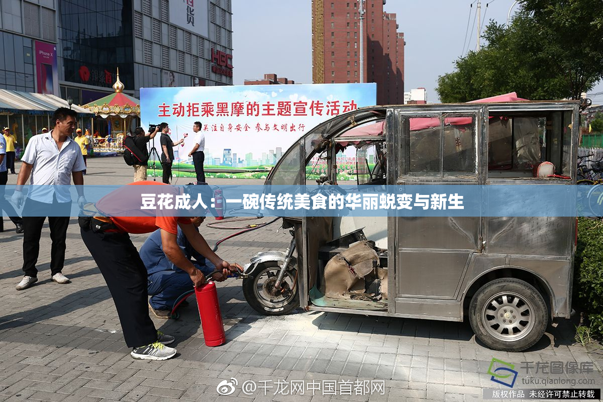 豆花成人：一碗传统美食的华丽蜕变与新生