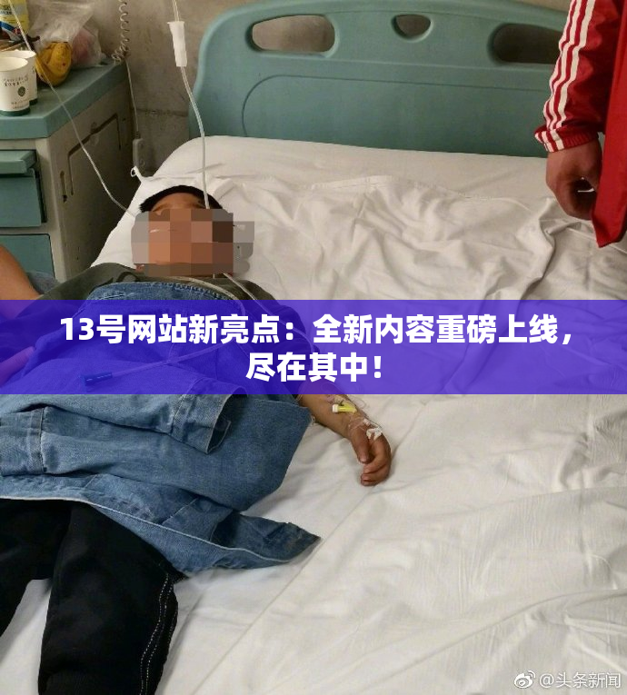 13号网站新亮点：全新内容重磅上线，尽在其中！