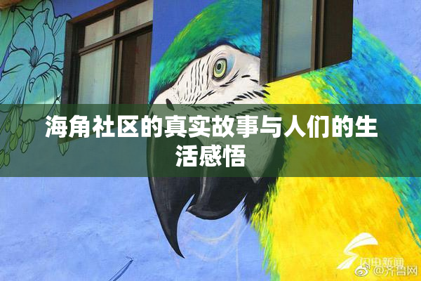 海角社区的真实故事与人们的生活感悟