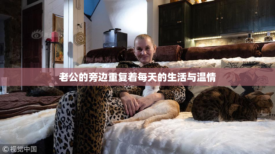 老公的旁边重复着每天的生活与温情