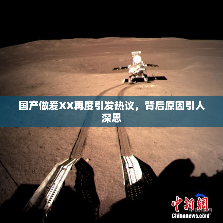 国产做爰XX再度引发热议，背后原因引人深思