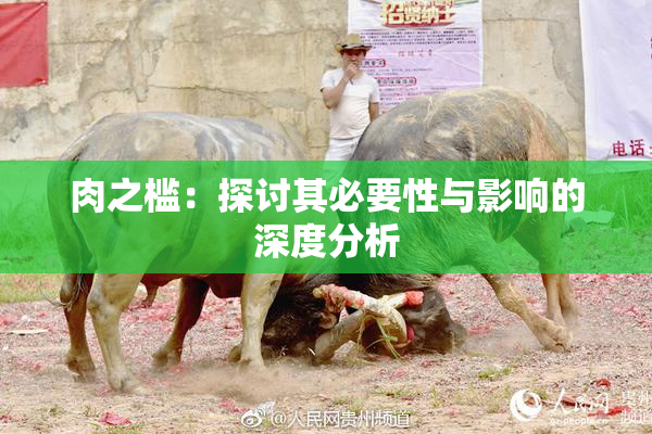 肉之槛：探讨其必要性与影响的深度分析